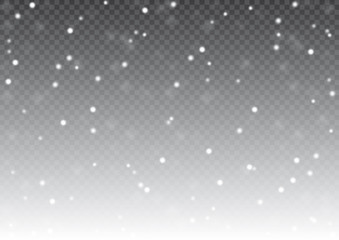 Snow Transparent
