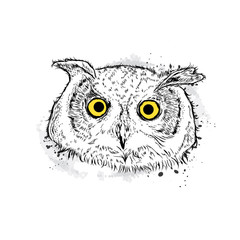 Cute owl. Vector illustration drawn by hand. Postcard or poster. Print on clothes. Beautiful bird.