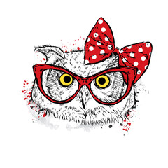 Cute owl with bow and glasses. Vector illustration drawn by hand. Postcard or poster. Print on clothes. Beautiful bird.