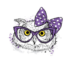 Cute owl with bow and glasses. Vector illustration drawn by hand. Postcard or poster. Print on clothes. Beautiful bird.