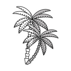 Fototapeta na wymiar Palm tree icon. Nature plant and summer season theme. Isolated design. Vector illustration