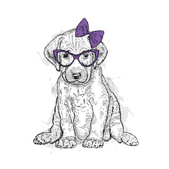Cute puppy with bows. Illustration for a card or print on clothes. Poster. Vector drawing