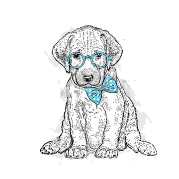 Cute puppy with glasses and tie. Illustration for a card or print on clothes. Poster. Vector drawing