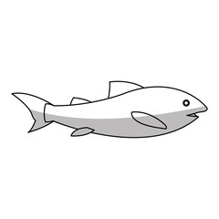Fish icon. Sea life ecosystem fauna and ocean theme. Isolated design. Vector illustration