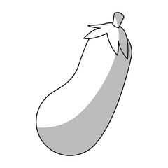 Eggplant icon. Healthy organic fresh and natural food theme. Isolated design. Vector illustration