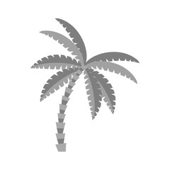 Palm tree icon. Nature plant and summer season theme. Isolated design. Vector illustration