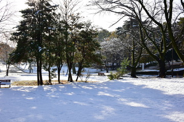 季節外れの雪の公園