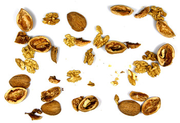 Walnut and a cracked walnut on the white background