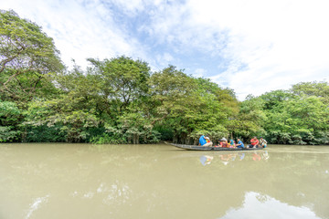swamp forest ratargul
