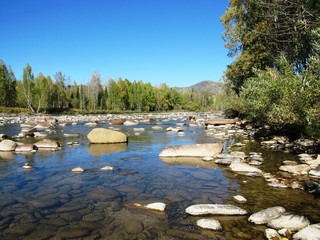 Река Тургусун в Восточном Казахстане.