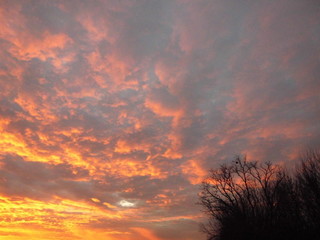 Fototapeta premium Beautiful sunset. Violet sky.