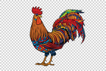 Red rooster, the symbol of 2017