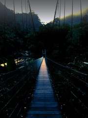 Obraz premium Alone bridge