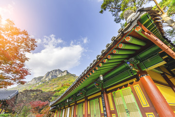 Autumn in Baekyangsa temple and Baekamsan Mountain.