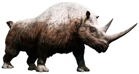Woolly rhinoceros from the Pleistocene era 3D illustration © warpaintcobra