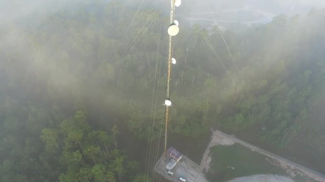 Early Morning FOG in Texas