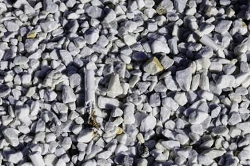 Gravel along pathway