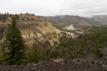 Lookout Over Yellowstone River
