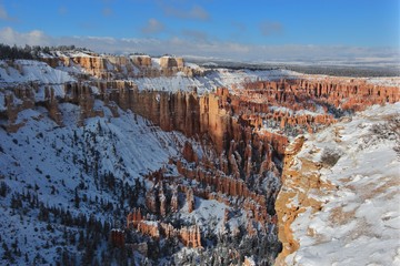 Winter Wonderland