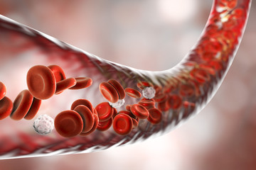 Blood vessel with flowing erythrocytes and leukocytes - obrazy, fototapety, plakaty