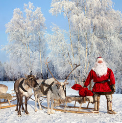Santa Claus and his reindeer in forest © Vladimir Melnikov