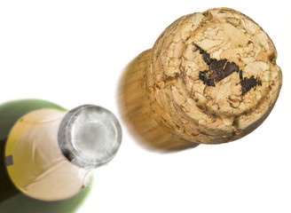 Launched champagne cork with the shape of Newfoundland burnt in.