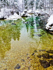 Winter reflections in a slow mountain stream at slovenian alps, river Sava, Bohinj, Slovenia