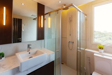 Clean toilet and shower room in a luxury house