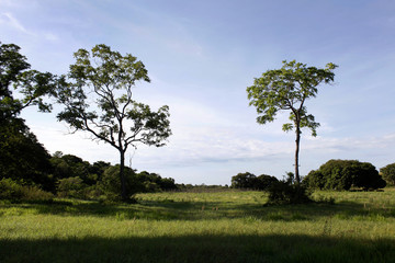 Região dos Lagos