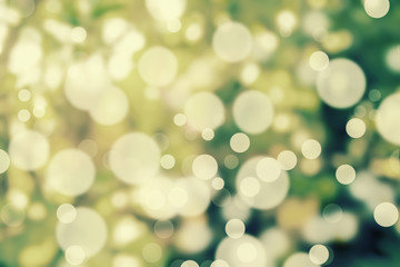 Obraz na płótnie Canvas Blur light bokeh with blur tree in background. Abstract backgrou