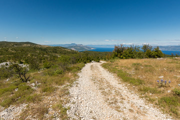 Fototapeta na wymiar Croatia,istrien outdoor nature,environment