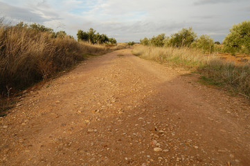 Camino rural