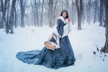 Fototapeta na wymiar Portrait of Snow White