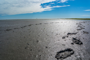 Fußspuren im Watt