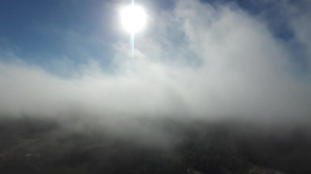 Early Morning FOG in Texas