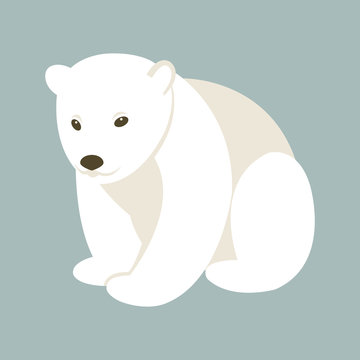 Polar bear young style flat  vector illustration 