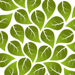 leafs plant ecology symbol vector illustration design