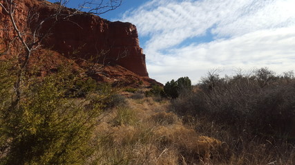 Caprock Canyons Vista May 2016