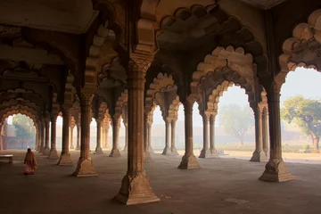 Vitrage gordijnen Vestingwerk Diwan-i-Am - Publiekszaal in Agra Fort, Uttar Pradesh