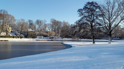City park. Winter cold landscape lake