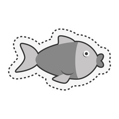 cute fish isolated icon vector illustration design