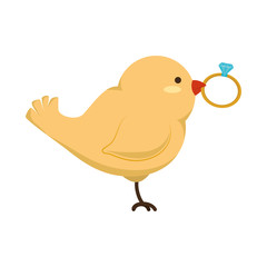 birds wedding card celebration vector illustration design