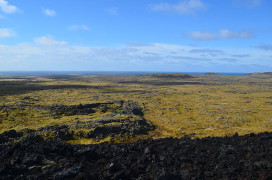 Amazing Lava Field As Far as the Eye Can See