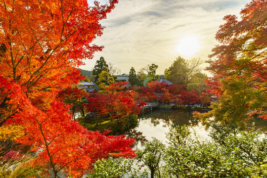 京都　永観堂の紅葉と夕陽