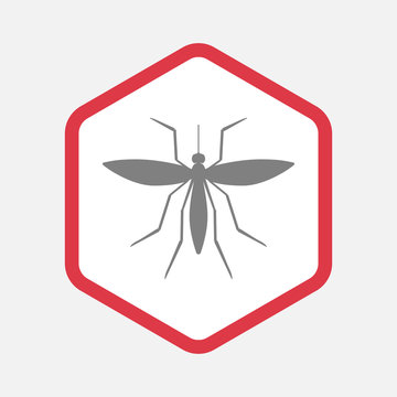 Isolated hexagon with  a mosquito