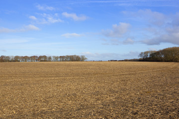 Fototapeta na wymiar yorkshire wolds harvest landscape