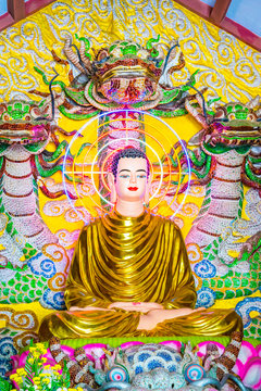  Buddha altar decoration at Buddhist temple in Vietnam Dalat