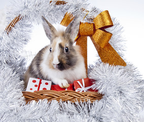 christmas rabbit with a christmas tree and present