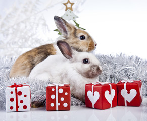christmas rabbit with a christmas tree and present
