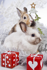 christmas rabbit with a christmas tree and present